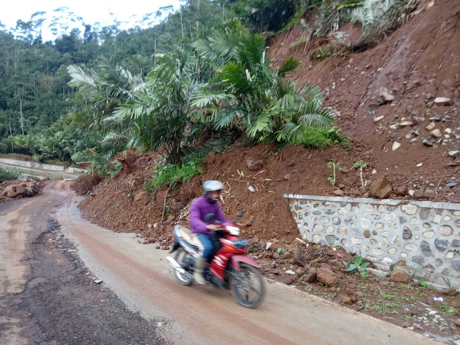 Featured image for Tanah Longsor Desa Sarwodadi Kecamatan Pejawaran, 9 KK Mengungsi.