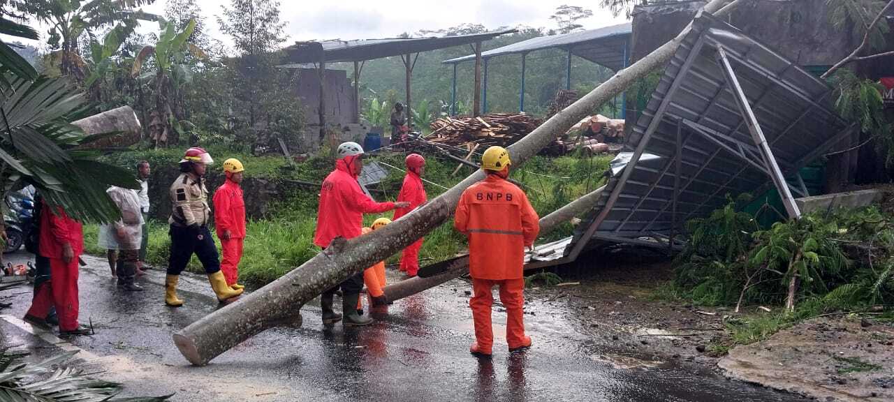 Featured image for Cuaca Ekstrim. Hujan Disertai Angin Kencang, Pohon-Pohon Bertumbangan.